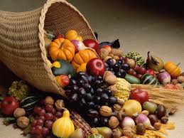Fruit