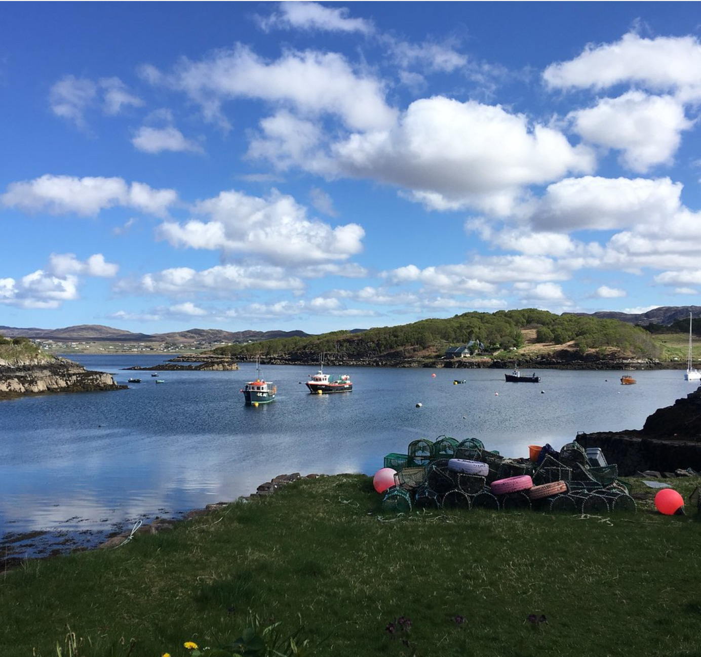 Shellfish Safaris