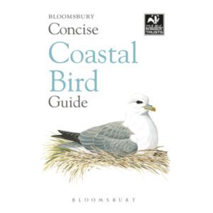 Coastal Birds