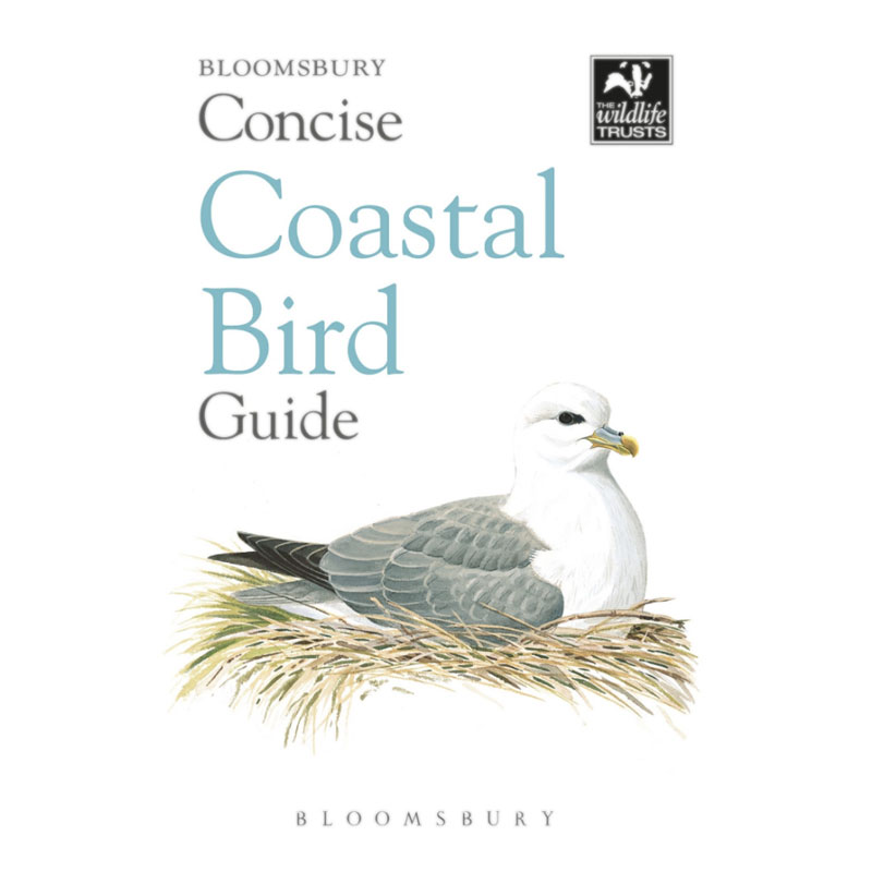 Coastal Birds