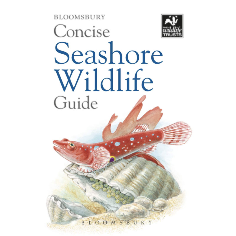 Concise Seashore Wildlife Guide