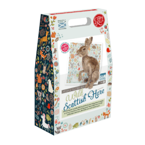 Wild Scottish Hare Needle Felting Kit