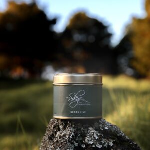 Scots Pine Travel Container
