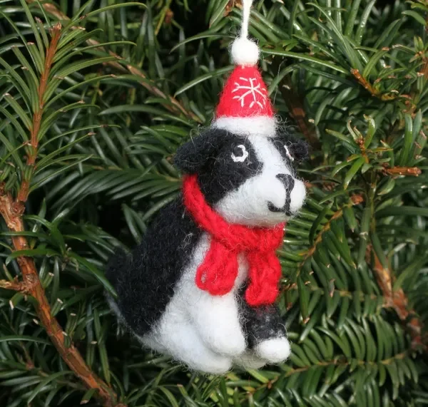 Shep The Sheep Dog