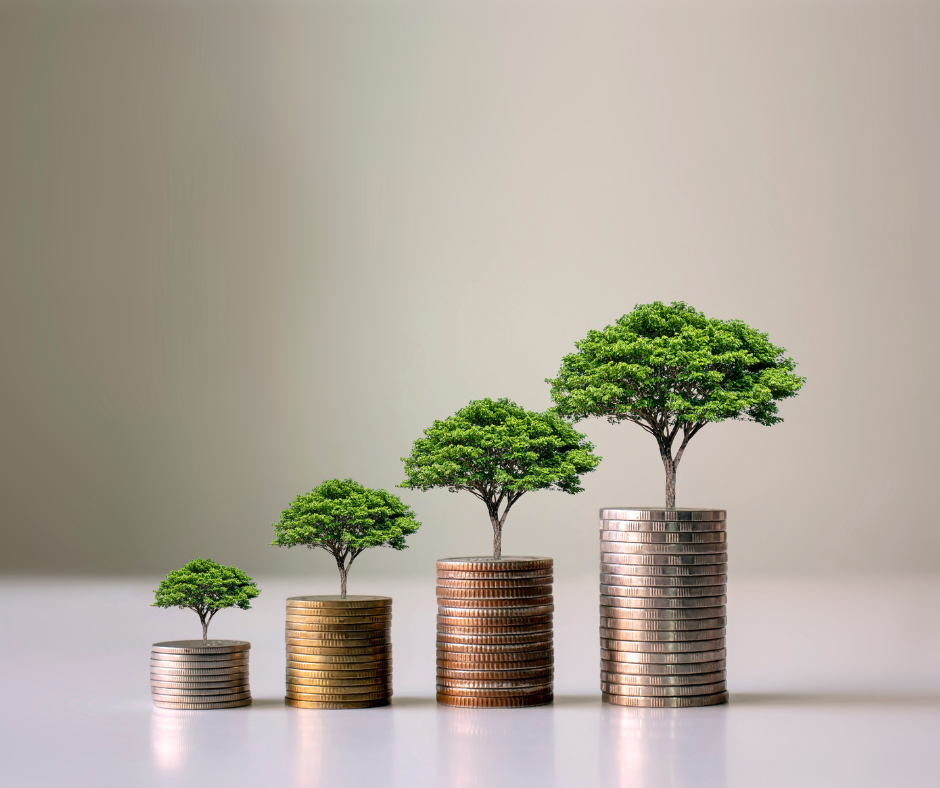 Image representing Sustainable Development