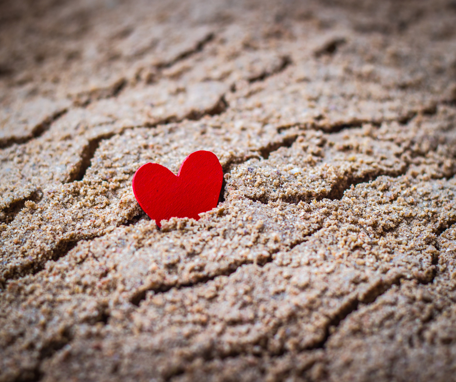 Kindness - Heart in the Sand