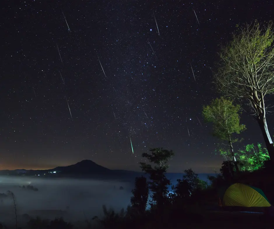 Geminid Meteor Shower