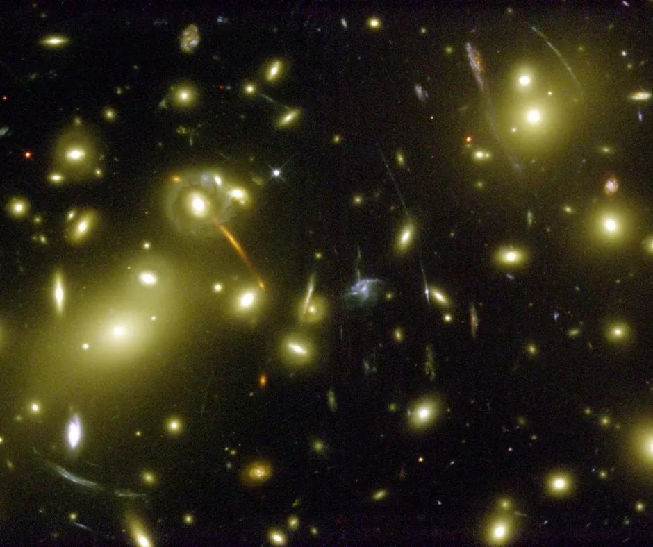 Cluster of Galaxies
