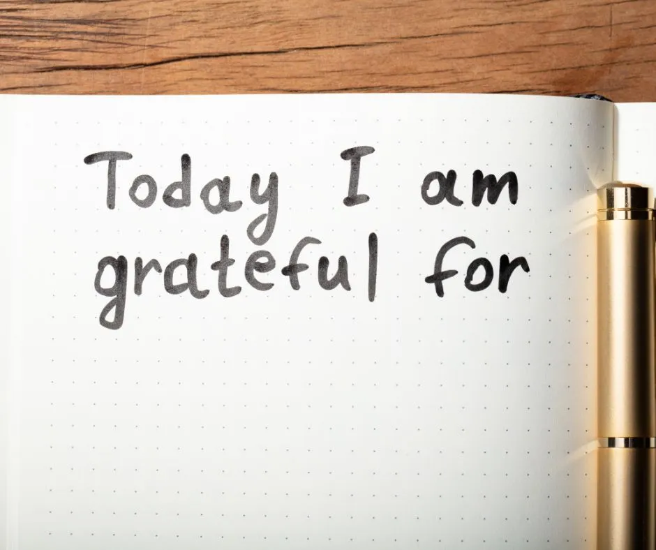 Resilience - Gratitude