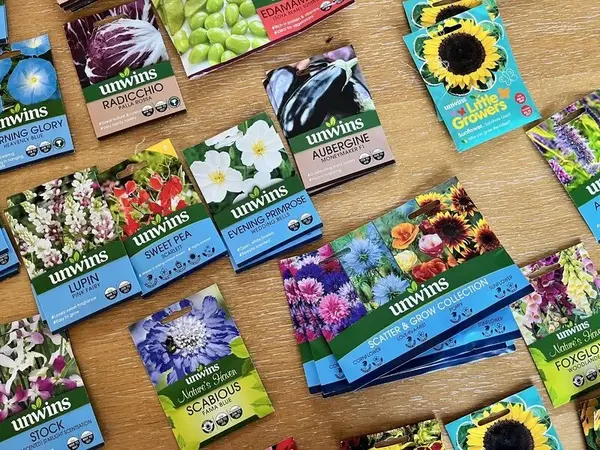 Seed Swap 2024