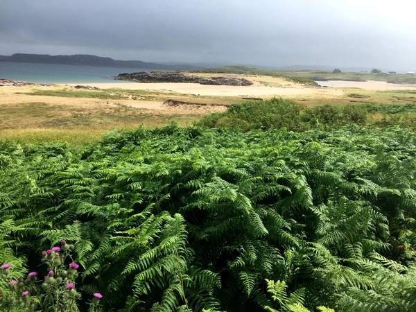 Firemore Beach