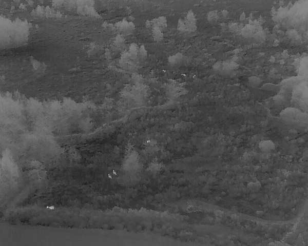 Thermal Imaging Drone Image