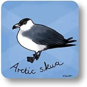 Arctic Skua Coaster design by Vicki Gausden