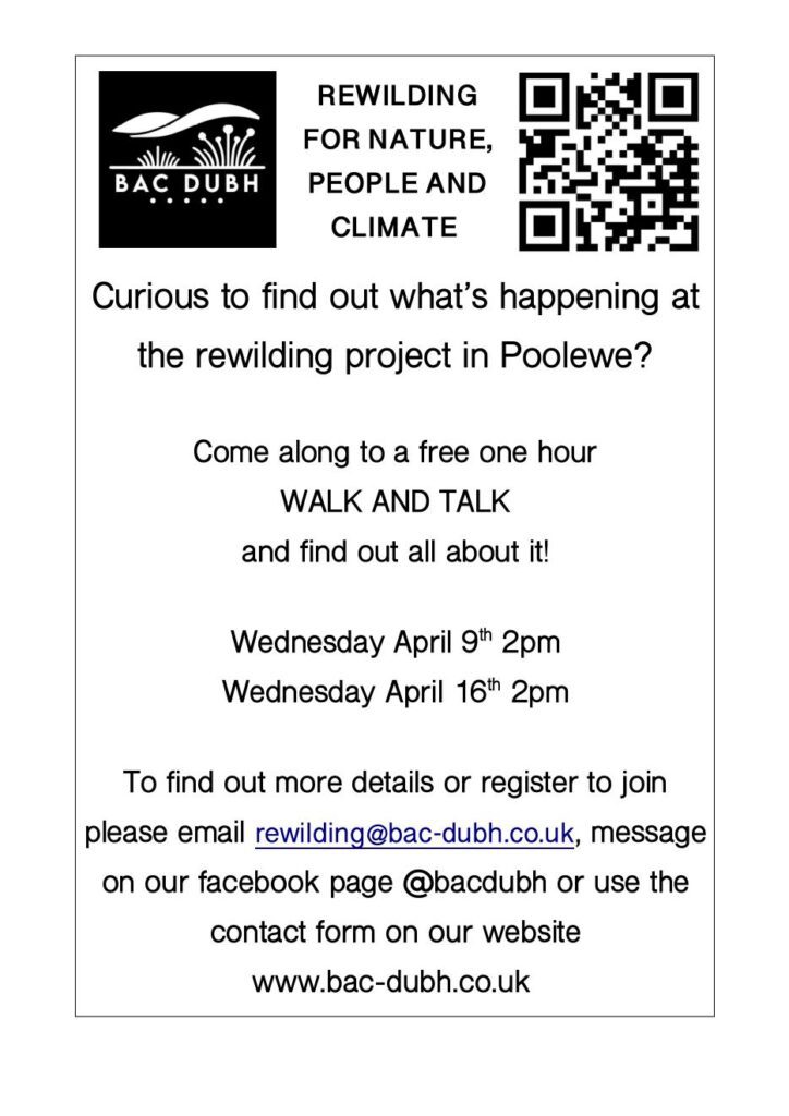 Bac Dubh Walk & Talk