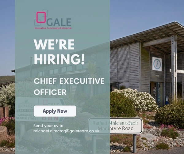 Chief Executive Officer Vacancy