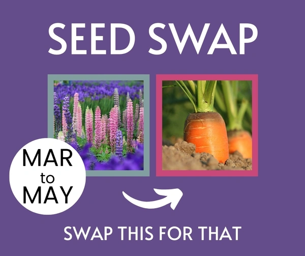 Seed Swap 2026